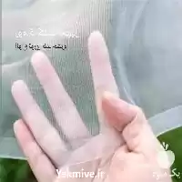 فروش توری ضد تریپس در تهران در گروه خرید و فروش توری گلخانه در یکمیوه