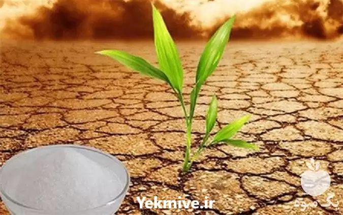 قیمت خرید جاذب آب یکبار آبیاری در شیراز در گروه انواع محصولات خاک و تغذیه در یکمیوه -عکس1