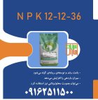 کود 121236 سبزینه مارال در بندرعباس در گروه خرید و فروش انواع کود کشاورزی در یکمیوه