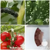 قیمت خرید گیره پشتیبان خوشه در تهران در گروه خرید و فروش تجهیزات گلخانه در یکمیوه