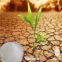 قیمت خرید جاذب آب یکبار آبیاری در شیراز در گروه انواع محصولات خاک و تغذیه در یکمیوه