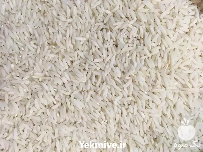 قیمت خرید برنج هاشمی در گروه خرید و فروش برنج در یکمیوه -عکس1