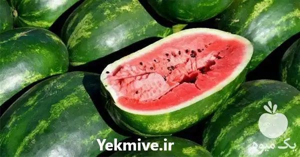 خرید و فروش عمده هندوانه در تهران در گروه خرید و فروش هندوانه در یکمیوه -عکس1