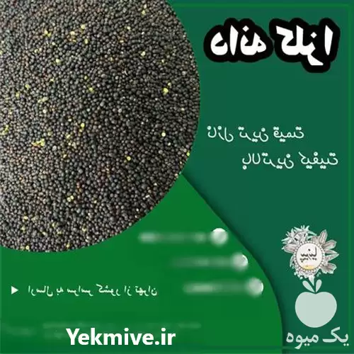 فروش کلزا بوجاری در تهران در گروه خرید و فروش دانه های روغنی در یکمیوه -عکس1