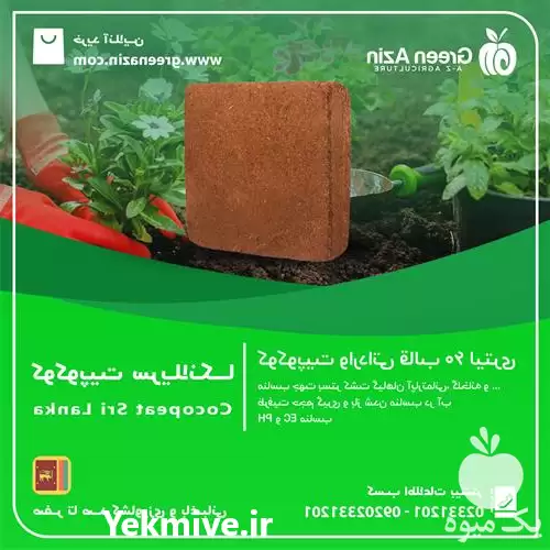 فروش عمده کوکوپیت سریلانکایی کانتینری در تهران در گروه خرید و فروش انواع کود کشاورزی در یکمیوه -عکس1