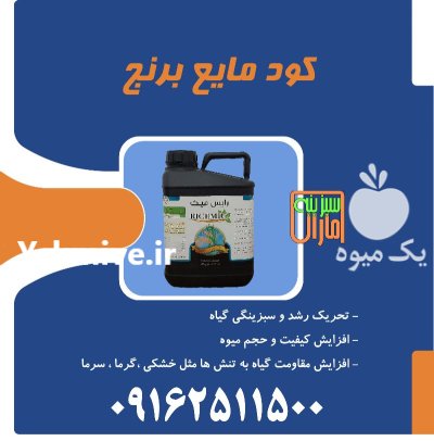 کود اختصاصی برنج سبزینه مارال در گروه خرید و فروش انواع کود کشاورزی در یکمیوه -عکس1