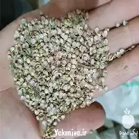 خرید قیمت تخم گشنیز و حبوبات در همدان در گروه خرید و فروش گیاهان دارویی در یکمیوه