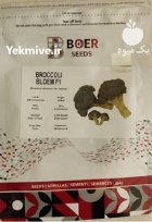 فروش بذر کلم بروکلی بلوم ارسال در اهواز در گروه خرید و فروش انواع بذر در یکمیوه