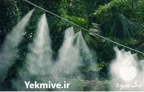 مهپاش فوگر حرارتی در ساری در گروه خرید و فروش فوگر در یکمیوه -عکس1