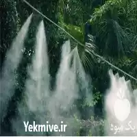 مهپاش فوگر حرارتی در ساری در گروه خرید و فروش فوگر در یکمیوه