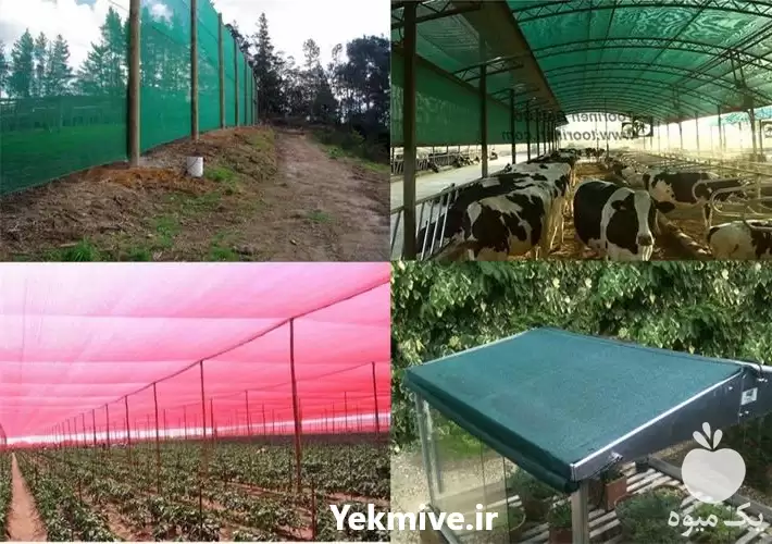 توری سایبان سبز در گروه خرید و فروش توری گلخانه در یکمیوه -عکس1