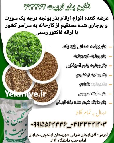 فروش انواع بذر یونجه بذر علوفه در گروه خرید و فروش بذر یونجه در یکمیوه -عکس2
