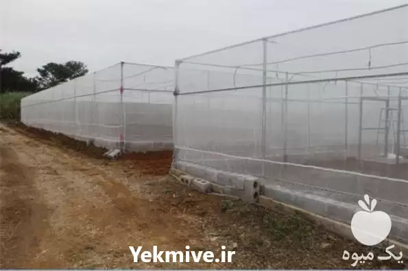 فروش تولید شید گلخانه سفید توری در ساری در گروه خرید و فروش توری گلخانه در یکمیوه -عکس1