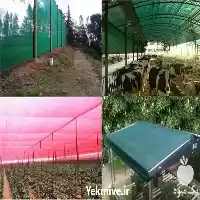 توری سایبان سبز در گروه خرید و فروش توری گلخانه در یکمیوه