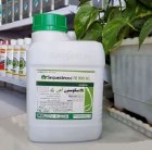 فروش کود سکوسترن آهن Syngenta سوئیس در اهواز در گروه خرید و فروش کود شیمیایی در یکمیوه