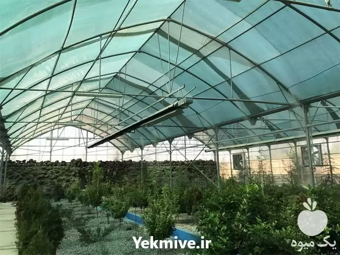 تولید فروش توری سایبان با بافت در تهران در گروه خرید و فروش توری گلخانه در یکمیوه -عکس1