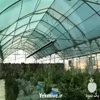 تولید فروش توری سایبان با بافت در تهران در گروه خرید و فروش توری گلخانه در یکمیوه