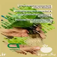 فروش تجهیزات پیوند نشا در گلخانه در اصفهان در گروه خرید و فروش دستگاه نشا در یکمیوه