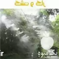 فضای سبز سیستم میست در تهران در گروه سازنده در یکمیوه