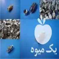 فضای سبز مه پاش استیل در تهران در گروه سازنده در یکمیوه