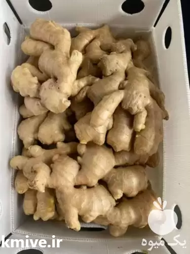 واردات و فروش زنجبیل Ginger ب در تهران در گروه خرید و فروش گیاهان دارویی در یکمیوه -عکس1