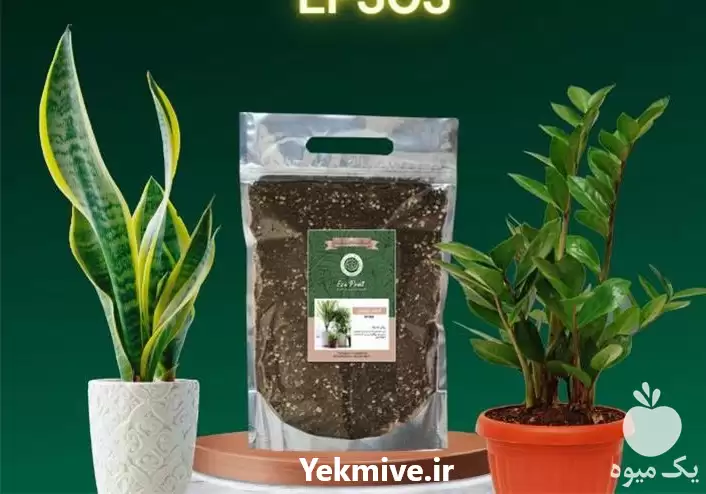 فروش خاک بستر کشت گیاهان مختلف در یزد در گروه انواع محصولات خاک و تغذیه در یکمیوه -عکس1