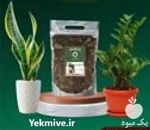 فروش بستر کشت هیدروپونیک اصلاح کننده در اصفهان در گروه خرید و فروش تجهیزات هیدروپونیک در یکمیوه -عکس1