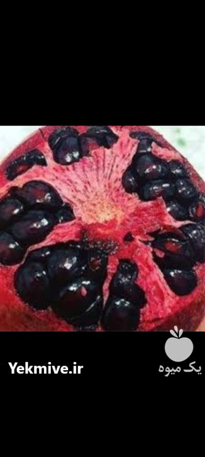 نهال انارهرات دانه سیاه در اصفهان در گروه خرید و فروش نهال انار در یکمیوه -عکس1