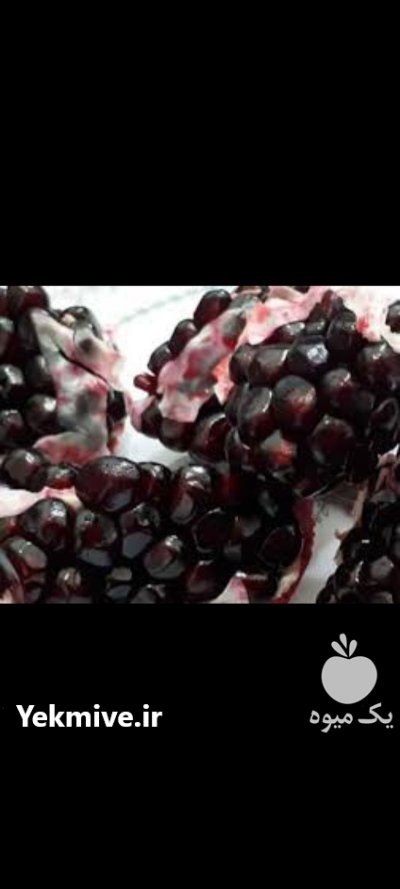 نهال انار قندهار در اصفهان در گروه خرید و فروش نهال انار در یکمیوه -عکس1