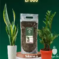 فروش خاک بستر کشت گیاهان مختلف در یزد در گروه انواع محصولات خاک و تغذیه در یکمیوه