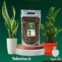 فروش بستر کشت هیدروپونیک اصلاح کننده در اصفهان در گروه خرید و فروش تجهیزات هیدروپونیک در یکمیوه