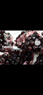 نهال انار قندهار در اصفهان