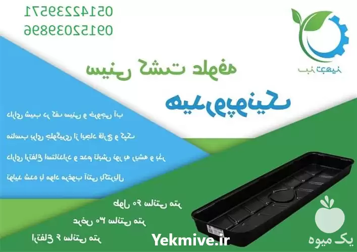 فروش تجهیزات علوفه هیدرو پونیک در مشهد در گروه خرید و فروش تجهیزات هیدروپونیک در یکمیوه -عکس1