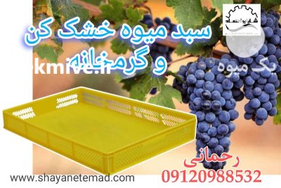 قیمت خرید سبد میوه خشک کن در تاکستان در گروه خشک کن در یکمیوه -عکس1