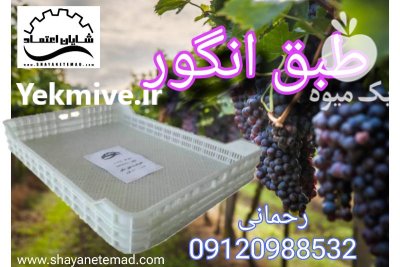 فروش طبق کشمش در بجنورد در گروه خشک کن در یکمیوه -عکس1