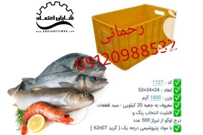 قیمت فروش سبد ماهی در بوشهر در گروه خرید و فروش انواع سبد در یکمیوه -عکس2