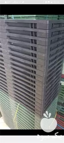 فروش محصولات باغی و زراعی در رشت در گروه خرید و فروش نشا در یکمیوه -عکس1