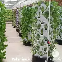 قیمت خرید تجهیزات کشت هیدروپونیک در مشهد در گروه خرید و فروش تجهیزات هیدروپونیک در یکمیوه