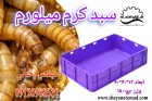 قیمت خرید سبد کرم میلورم در اصفهان در گروه خرید و فروش انواع سبد در یکمیوه