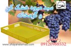 قیمت خرید سبد میوه خشک کن در تاکستان در گروه خشک کن در یکمیوه