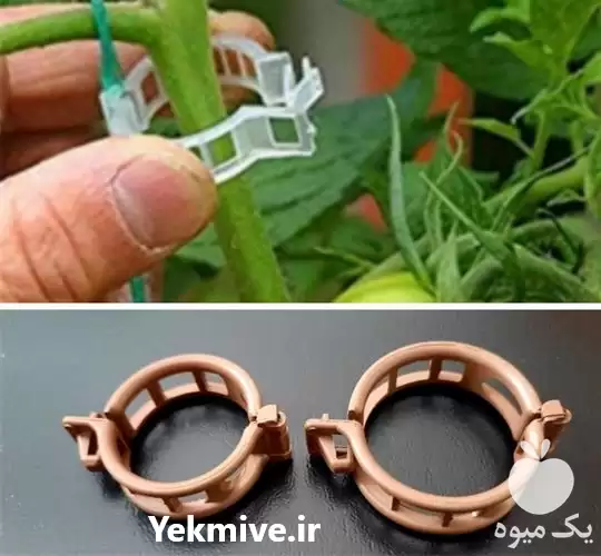 فروش بست نگهدارنده بوته در کرج در گروه خرید و فروش تجهیزات گلخانه در یکمیوه -عکس1