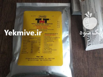 تقویتی مشترک زنبورعسل طیور به نام در تهران در گروه خرید و فروش زنبورعسل در یکمیوه -عکس1