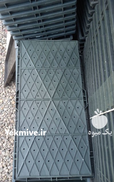 سینی نشاء برنج با بهترین کیفیت در رشت در گروه خرید و فروش نشا در یکمیوه -عکس2