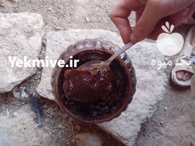 ترشی الوچه جنگلی در گروه فرآورده های آلو و آلوچه در یکمیوه -عکس1