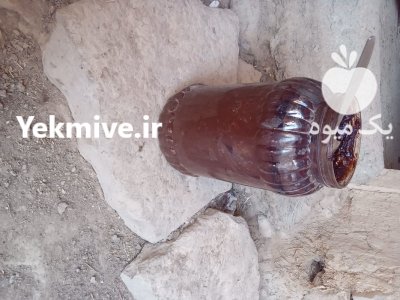 ترشی الوچه جنگلی در گروه فرآورده های آلو و آلوچه در یکمیوه -عکس3