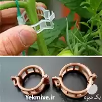فروش بست نگهدارنده بوته در کرج در گروه خرید و فروش تجهیزات گلخانه در یکمیوه