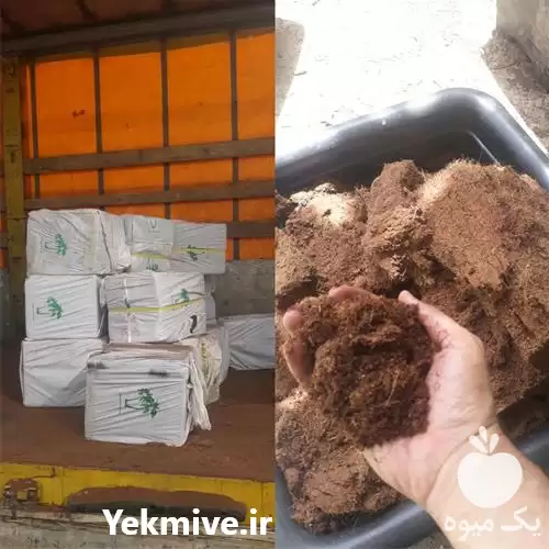 فروش کوکوپیت هیلان سریلانکا در کرج در گروه خرید و فروش انواع کود کشاورزی در یکمیوه -عکس1