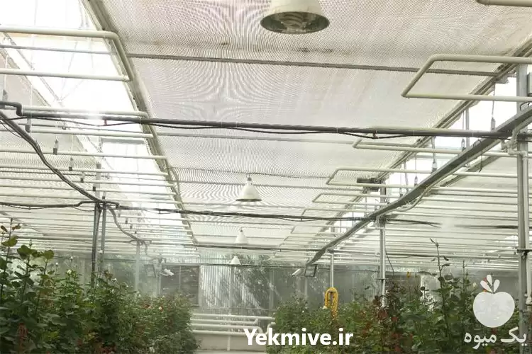 قیمت خرید سیم نایلونی شید در تهران در گروه خرید و فروش تجهیزات گلخانه در یکمیوه -عکس1