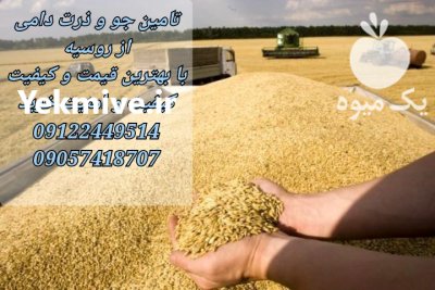 مشاوره برای خرید واردات غلات در تهران در گروه خرید و فروش غلات و حبوبات در یکمیوه -عکس1