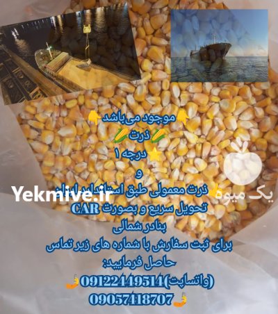 مشاوره برای خرید واردات غلات در تهران در گروه خرید و فروش غلات و حبوبات در یکمیوه -عکس2